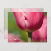 Invitation Macro Tulip rose DSC0852 (Devant / Derrière)