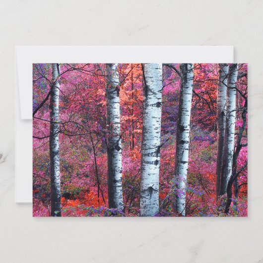 Invitation magique de partie de solstice d'été de (Devant)