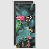 Invitation Magnétique Beau papillon sur une fleur rose (Devant / Derrière)