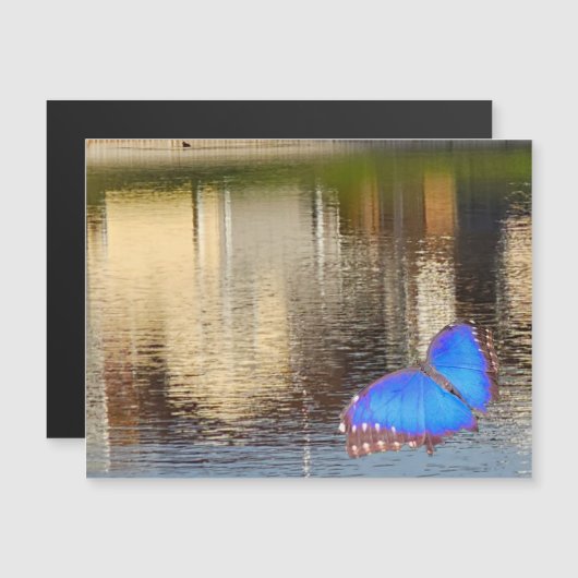 Invitation Magnétique Blue Wing Reflection (Devant / Derrière)