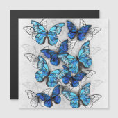 Invitation Magnétique Composition des White and Blue Butterflies (Devant / Derrière)