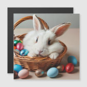 Invitation Magnétique Easter bunny with his eggs. (Devant / Derrière)