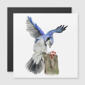 Invitation Magnétique Jay bleu d'oiseau de la forêt (Devant / Derrière)