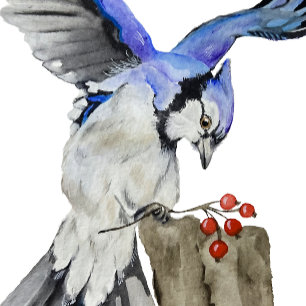 Invitation Magnétique Jay bleu d'oiseau de la forêt