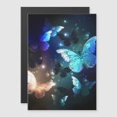 Invitation Magnétique Papillon de nuit (Devant / Derrière)