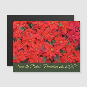 Invitation Magnétique Red Poinsettias I Christmas Holiday Enregistrer la