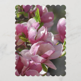 Invitation Magnolia en fleurs