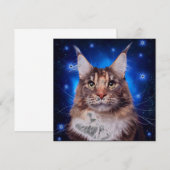 Invitation Main Coon Cat Blue Background Stars (Devant / Derrière)