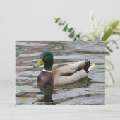 Invitation Mallard (Debout devant)