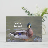 Invitation Mallard Duck Drake Water Photo Anniversaire (Debout devant)