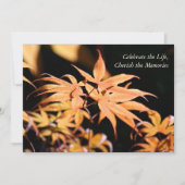 Invitation Maple Tree 1 Service commémoratif des célébrations (Devant)