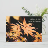 Invitation Maple Tree 1 Service commémoratif des célébrations (Debout devant)