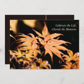 Invitation Maple Tree 1 Service commémoratif des célébrations (Devant / Derrière)