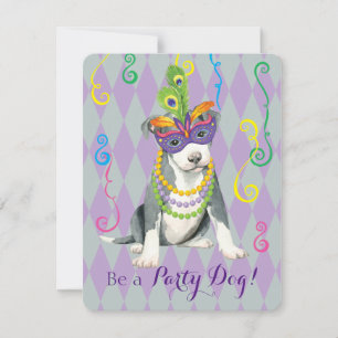 Invitation Mardi Gras Pit Bull Terrier