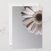 Invitation Marguerite Anniversaire d'Argent (Dos)