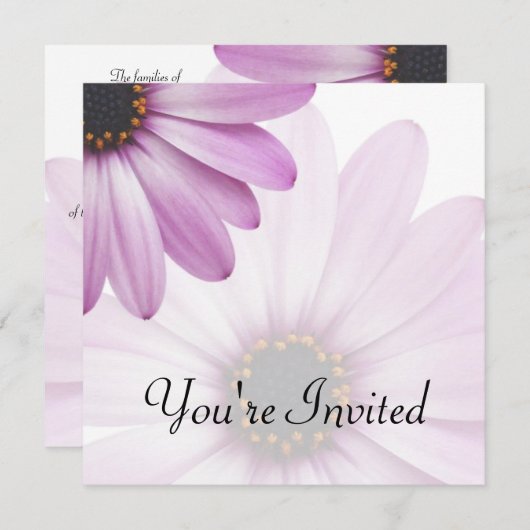 Invitation Marguerite pourpre (Devant / Derrière)