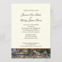 Mariage campagnard d'écureuil des bois