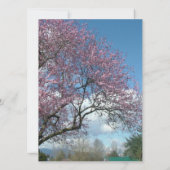 Invitation mariage, cerise d'invitation du parent de la marié (Dos)