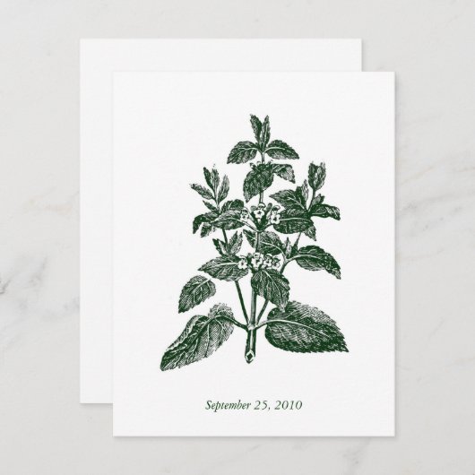 Invitation Mariage classique de la démolition (Devant / Derrière)