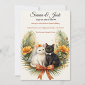 Invitation Mariage de chats californiens (Devant)