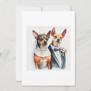 Invitation mariage de chien