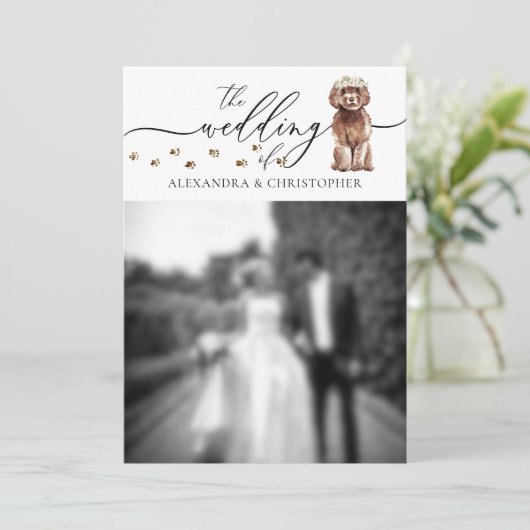 Invitation Mariage de chiot Brown Cavapoo Photo (Debout devant)