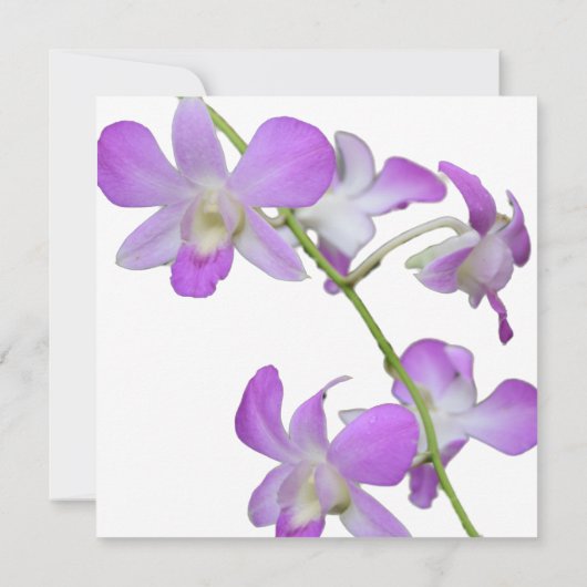 Invitation Mariage de plage Orchidées tropicales (Dos)
