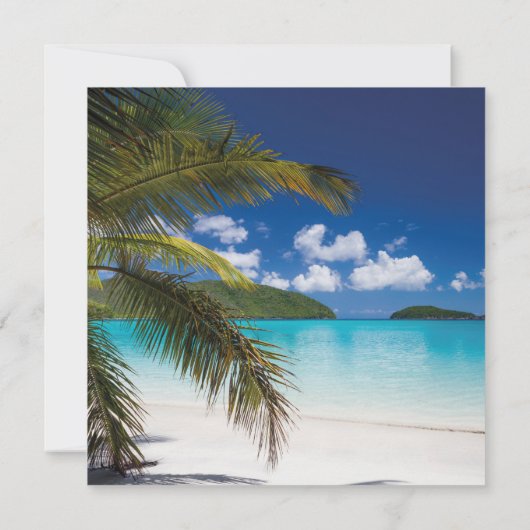 Invitation Mariage de plage Sand Tropical (Dos)