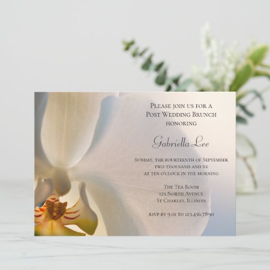 Invitation Mariage de poste de l'orchidée blanche (Debout devant)