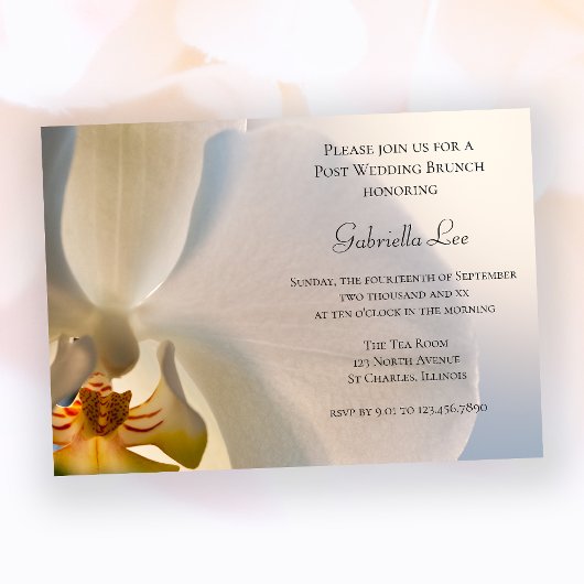 Invitation Mariage de poste de l'orchidée blanche