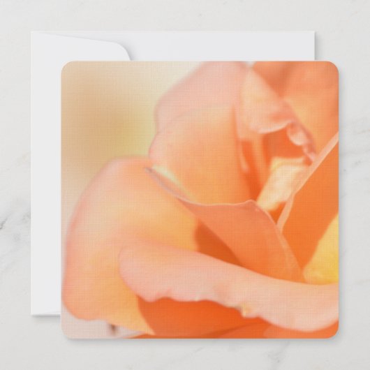 Invitation Mariage de Rose Peach (Dos)