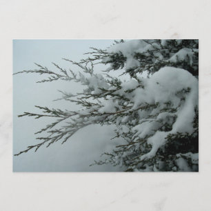 Invitation Mariage d'hiver Arbre À feuillage persistant avec 