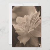 Invitation Mariage Fleur Sepia Clematis Sauvez La Date (Dos)