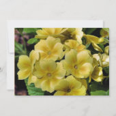 Invitation Mariage Floral De Primrose Jaune Sauvez La Date (Dos)