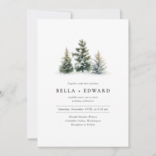 Invitation Mariage minimaliste de Noël moderne (Devant)