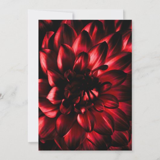 Invitation Mariage moderne de fleurs rouges (Dos)