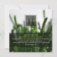 Mariage moderne simple de Succulents de photo