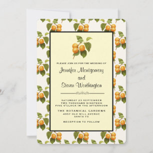 Invitation Mariage motif aquarelle d'abricots orange vintage