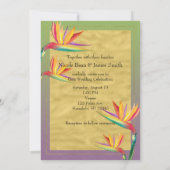Invitation Mariage oiseau de paradis or violet et vert (Dos)