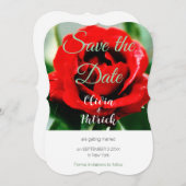 Invitation Mariage Rose Rouge Enregistrer la Date (Devant / Derrière)