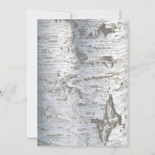 Invitation Mariage Rustic Silver Birch Tree (Dos)