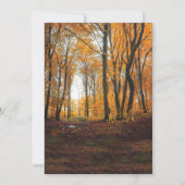 Invitation Mariage rustique de campagne en automne dans les b (Dos)