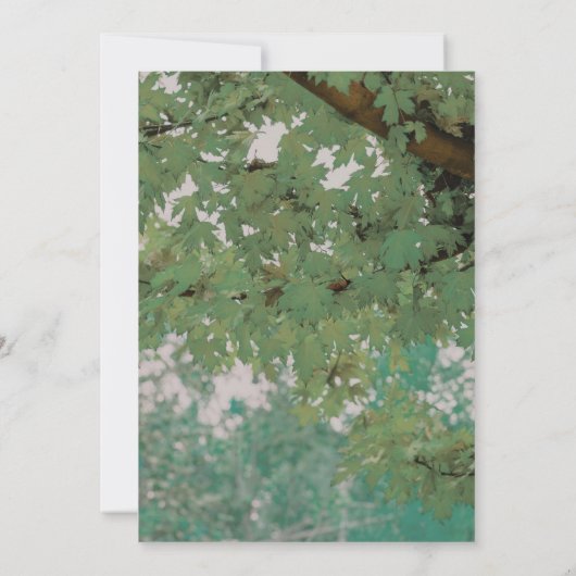 Invitation Mariage rustique des lumières à crémaillère de l'a (Dos)