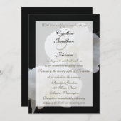 Invitation Mariage Vow Renewal Orchidées blanches (Devant / Derrière)