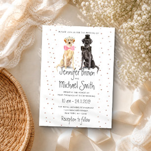Invitation marié mariée retriever du labrador valentines mari
