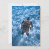 Invitation Marine Blue Nautical Turtle Beach Mariage côtier (Dos)