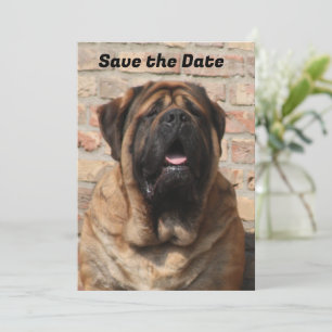 Invitation  Mastiff Dogue anglaise Fête des Pères 