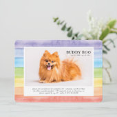 Invitation Mémorial| Aquarelle moderne Rainbow Pet Photo (Debout devant)