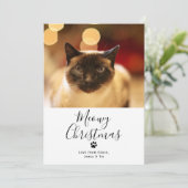 Invitation Meowy Christmas Pet Cat Christmas Card (Debout devant)