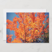 Invitation Merci de l'écriture d'appréciation du pasteur Feui (Dos)